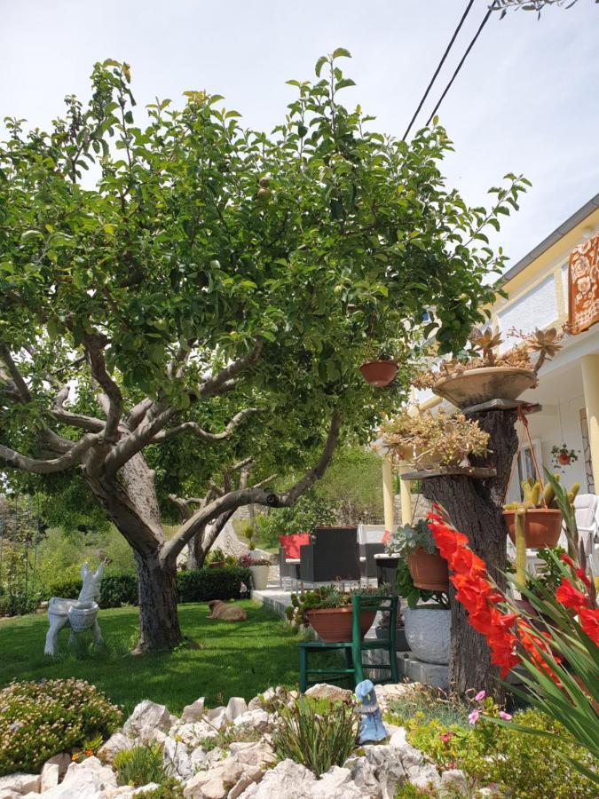 Apartmani I Sobe Jusic Rab Town Zewnętrze zdjęcie